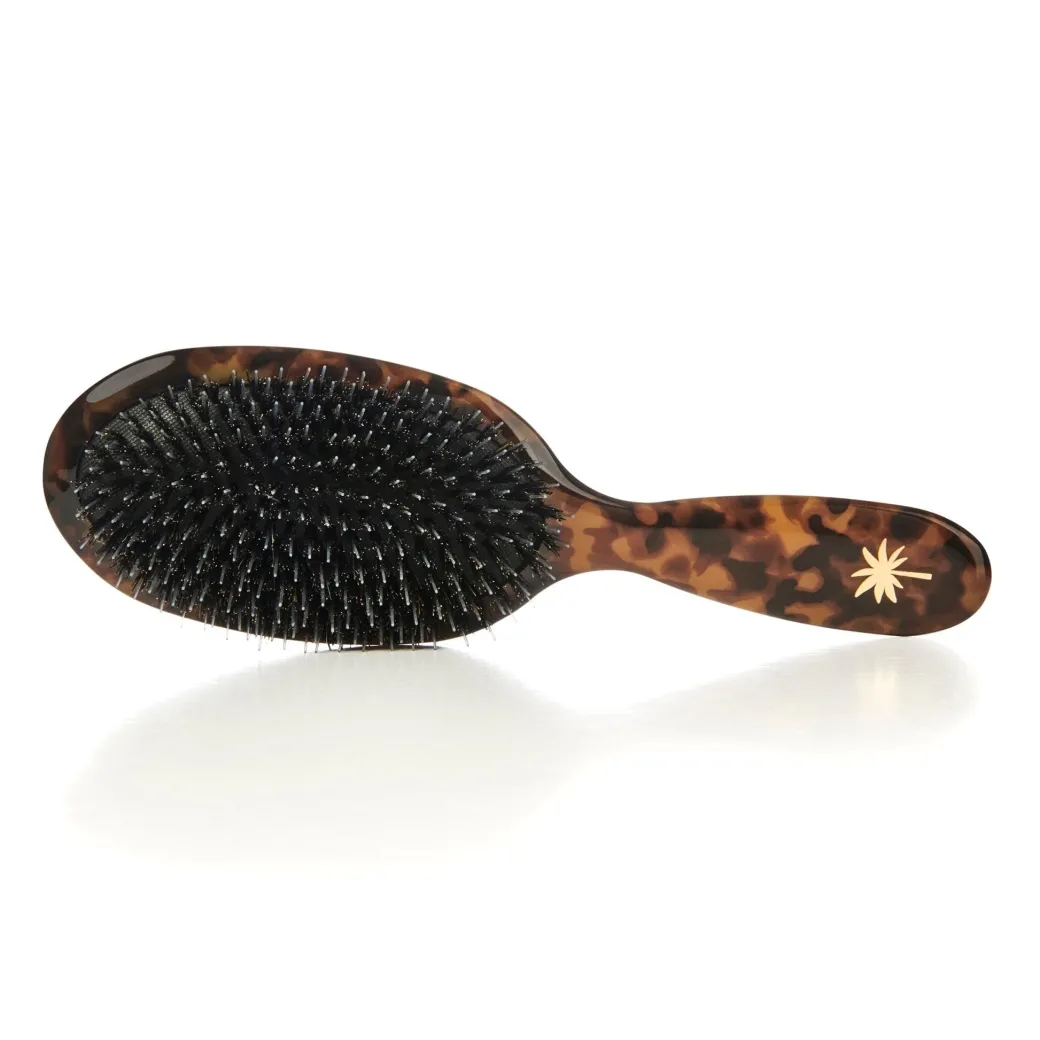 fan_palm_boar_amp_nylon_b_2.webp Fan Palm Boar- & Nylon Brush Turtle